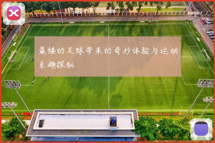 最矮的足球带来的奇妙体验与运动乐趣探秘
