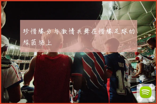 珍惜缘分与激情共舞在惜缘足球的绿茵场上