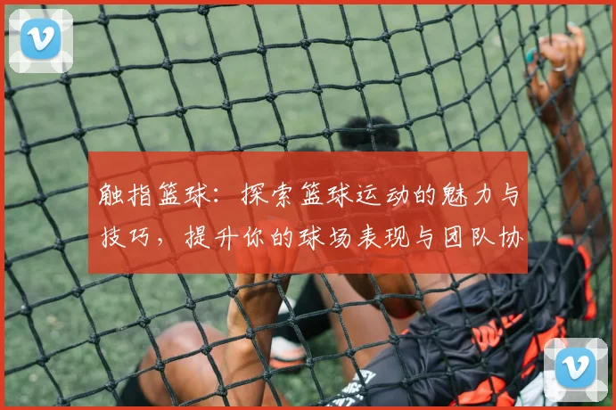 触指篮球：探索篮球运动的魅力与技巧，提升你的球场表现与团队协作能力