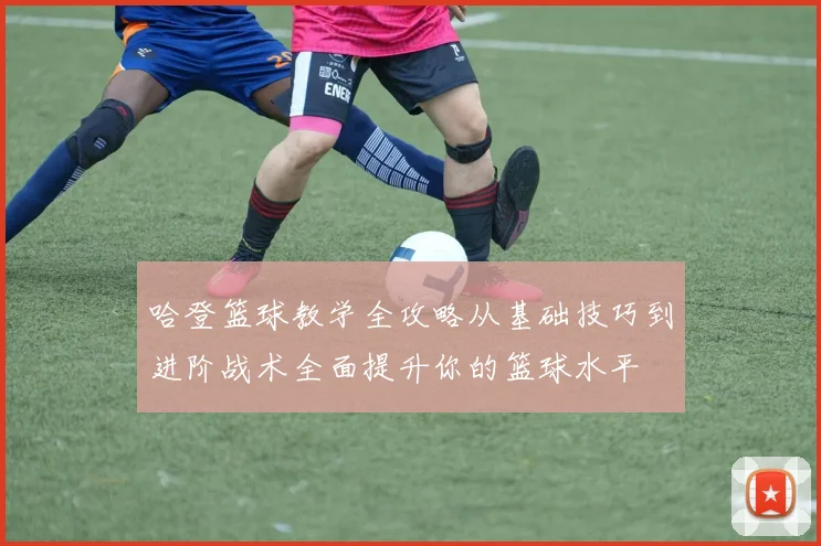 哈登篮球教学全攻略从基础技巧到进阶战术全面提升你的篮球水平