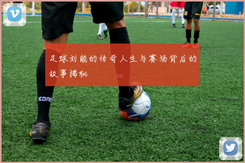 足球刘能的传奇人生与赛场背后的故事揭秘