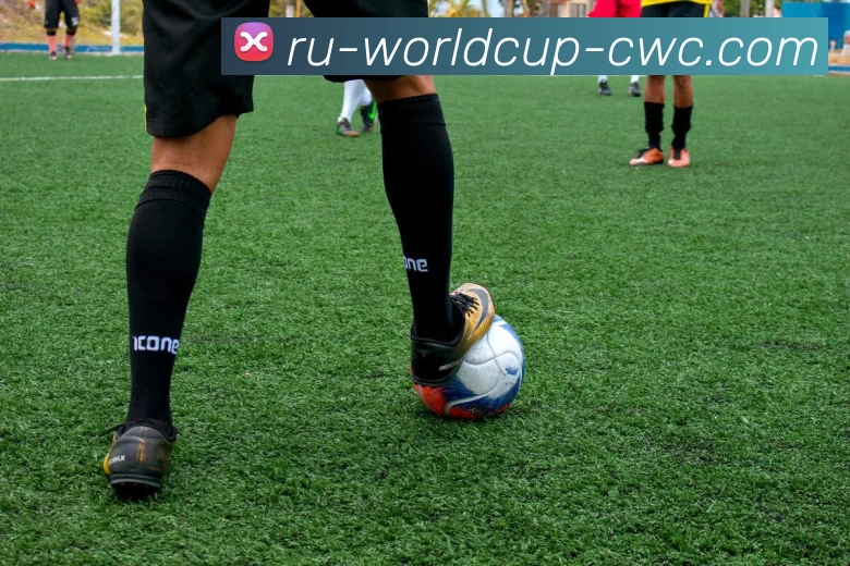 世界杯服务体系